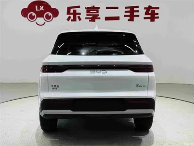 2025 BYD Song Pro New Energy 2nd Gen DM-i 75KM Leading Type, фото 4, лот 10274824