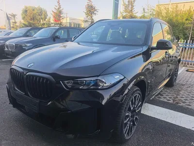 2026 BMW X5 xDrive 40Li M Sport Night Edition Package, фото 1, лот 11132581