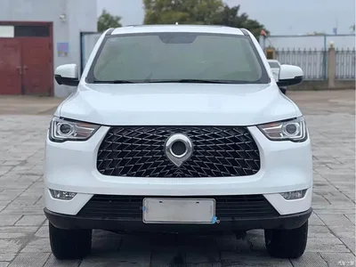 2019 Great Wall Pao 2.0T Commercial Edition Manual Diesel 4WD Navigation Long Box GW4D20M, фото 2, лот 10689153