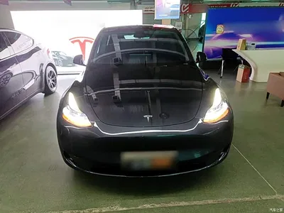 2024 Tesla Model Y Rear-Wheel Drive Version, фото 3, лот 10370210