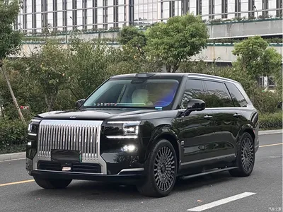 2025 ZEEKR 9X Standard Edition, фото 1, лот 11211833