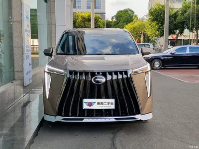 2023 GAC Trumpchi Trumpchi E9 E9 Grandmaster, фото 2, лот 10416739