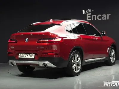 2020 BMW X4 xDrive20d xLine, фото 1, лот 10219151