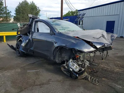 2026 TESLA MODEL Y, фото 4, лот 10975144