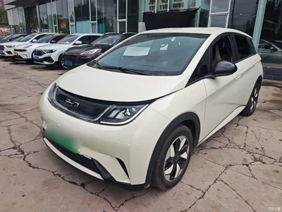 2025 BYD Dolphin 420km Freedom Edition, фото 2, лот 10263956