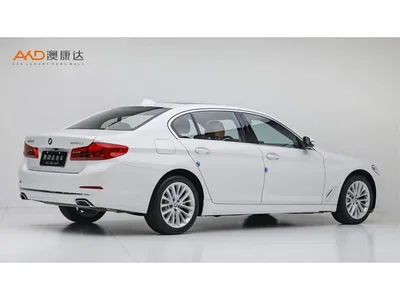 2019 BMW 5 Series 530Li Premium Luxury Package, фото 3, лот 11528179