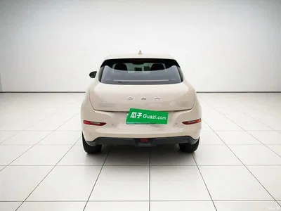 2021 Ora Good Cat 400km Standard Range Athena Edition (NCM), фото 4, лот 11545667