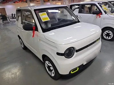 2025 Geely Galaxy Panda mini 210km Vitality Bear, фото 4, лот 11570226