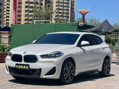 2020 BMW X2 sDrive25i Exclusive M Sport Package, фото 1, лот 10237328