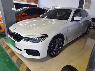 2020 BMW 5 Series 530Li Leading M Sport Package, фото 1, лот 11518430