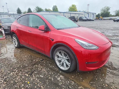 2023 TESLA MODEL Y, фото 4, лот 11053481