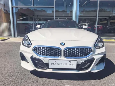 2020 BMW Z4 sDrive 25i Silver Frost Limited Edition, фото 3, лот 11551712