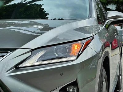 2016 Lexus RX 300 2WD Elite Edition (China V), фото 3, лот 10313689