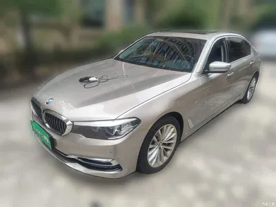 2018 BMW 5 Series Facelift 530Li xDrive Luxury Package, фото 2, лот 11181103