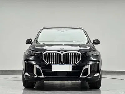 2025 BMW X5 Model xDrive 30Li Exclusive M Sport Blackout Package, фото 2, лот 10408529