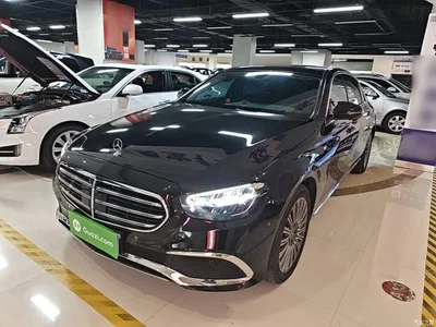 2023 Mercedes-Benz E-Class Facelift E 300 L Luxury, фото 1, лот 10894665