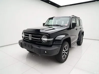 2023 Tank 300 Urban Edition 2.0T Very Stylish, фото 2, лот 10345565