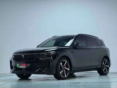 2025 Voyah Auto VOYAH FREE 318 318km RWD Touring Edition, фото 1, лот 10766491
