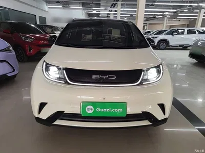 2021 BYD Dolphin Model 405km Fashion Edition, фото 3, лот 11249850