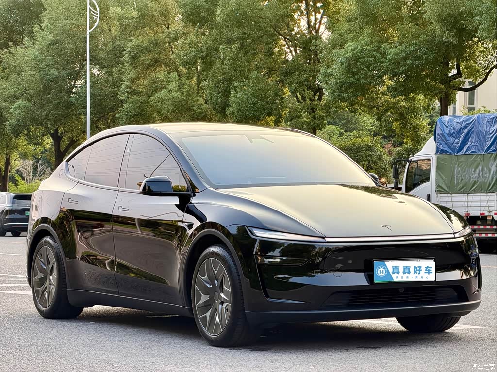 2025 Tesla Model Y L, фото 4, лот 11225036