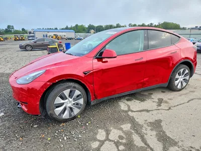 2023 TESLA MODEL Y, фото 1, лот 10855574