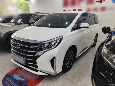 2021 GAC Trumpchi Trumpchi M8 Leading Show Series 390T Premium Edition, фото 2, лот 10425226