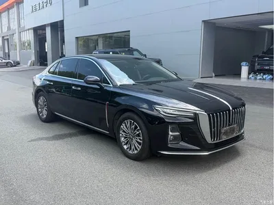 2024 Hongqi H5 1.5T DCT Smart Connect Flag Joy Edition, фото 3, лот 10360912