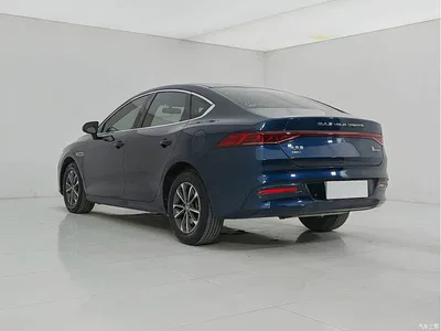 2023 BYD Qin PLUS Champion Edition DM-i 55KM Leading, фото 4, лот 10364330