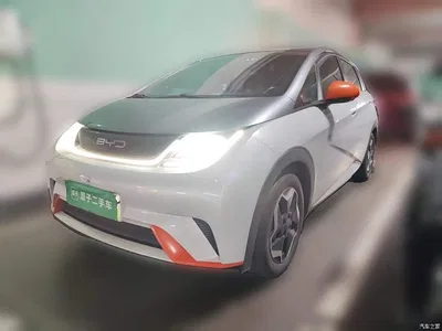 2021 BYD Dolphin 405km Freedom Edition, фото 1, лот 11174467