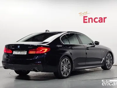 2019 BMW 5-Series 530i M Sport Package Plus, фото 1, лот 10179048