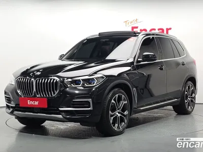 2022 BMW X5 xDrive 30d xLine, фото 1, лот 10131456