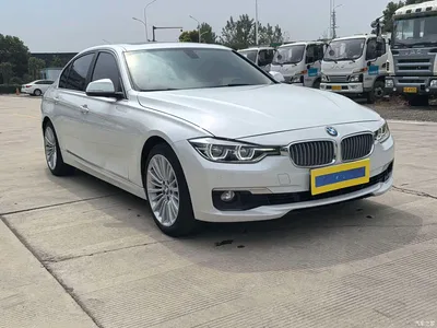 2018 BMW 3 Series 320Li Fashion Style, фото 3, лот 10812485