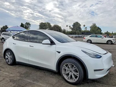 2023 TESLA MODEL Y, фото 4, лот 10677048