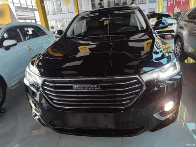 2020 Haval H4 Enjoy Edition 1.5T Manual Smart, фото 3, лот 11222335