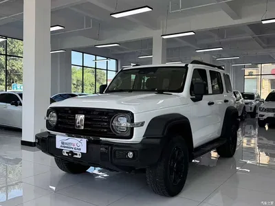 2021 Tank 300 Off-road Version 2.0T Conqueror, фото 1, лот 11199217