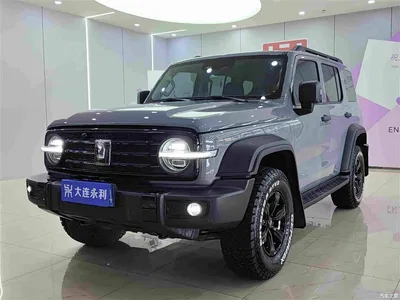 2023 Tank 300 Off-Road Edition 2.0T Conqueror, фото 1, лот 10270851