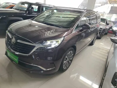 2020 Buick GL8 ES Landglory 653T Flagship, фото 2, лот 10257934