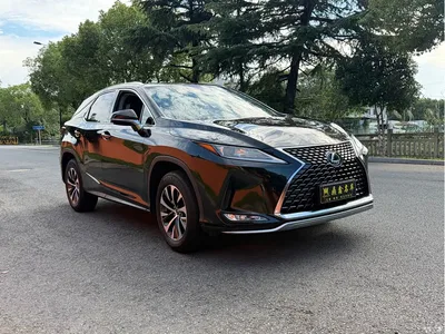 2020 Lexus RX 300 2WD Elite Edition China VI, фото 3, лот 11546965
