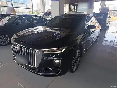 2020 Hongqi H9 2.0T Smart Connection Qi Chang Edition, фото 2, лот 10289577