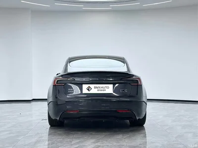 2024 Tesla Model 3 High-Performance All-Wheel Drive Edition, фото 4, лот 11569691
