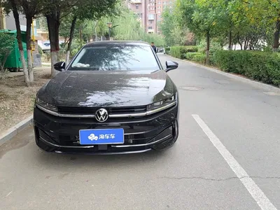 2024 Volkswagen Magotan 380TSI DSG Luxury Edition (Daimai Package), фото 3, лот 11202206