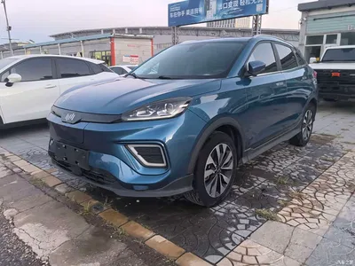 2020 Weltmeister EX5 EX5-Z Fun Dynamic Edition, фото 1, лот 10450257