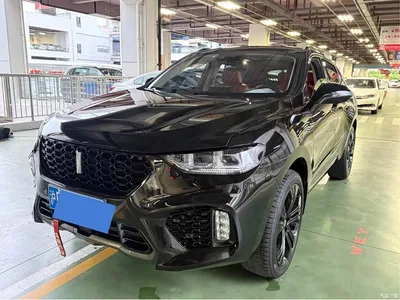 2017 WEY VV5 2.0T Flagship Model, фото 2, лот 11138745