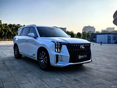 2022 GAC Trumpchi Trumpchi GS8 Dual Engine Series 2.0TM 2WD Premium Edition (7-Seater), фото 3, лот 11218645