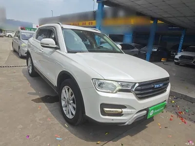 2016 Haval H7 Blue Label H7 2.0T Automatic Luxury, фото 4, лот 11088938