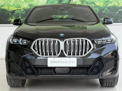 2022 BMW X6 xDrive40i M Sport Package, фото 2, лот 10481577