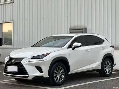 2017 Lexus NX 300h FWD Sharp Style Edition, фото 3, лот 10317360