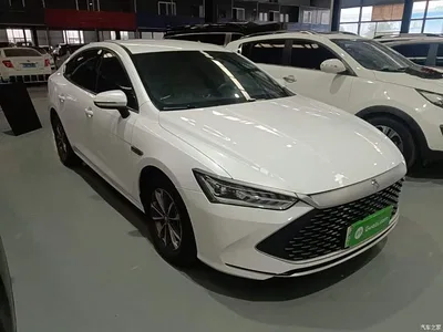 2023 BYD Qin PLUS Champion Edition DM-i 55KM Leading, фото 4, лот 11140999