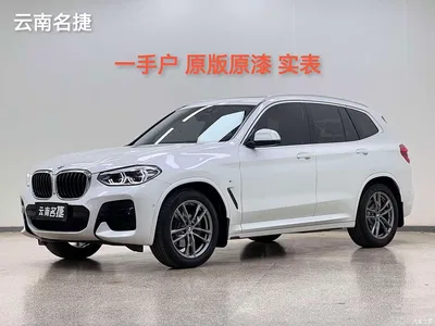 2021 BMW X3 xDrive25i M Sport Package, фото 1, лот 10447270