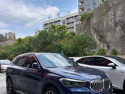 2020 BMW X1 xDrive25Li Premium Edition, фото 1, лот 10404437